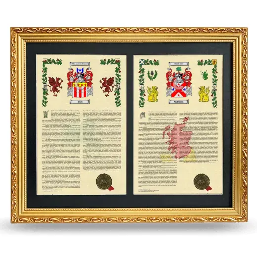 Double Armorial History Framed - Gold