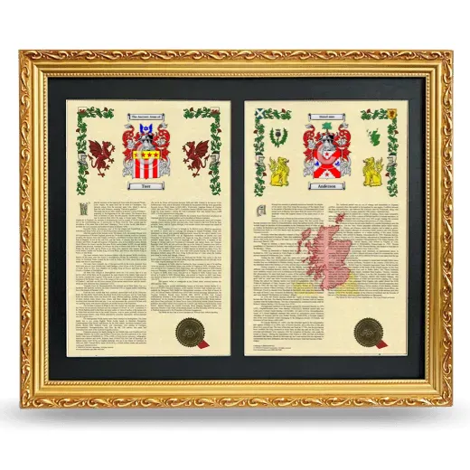 Double Armorial History Framed - Gold