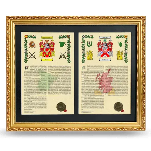 Double Armorial History Framed - Gold