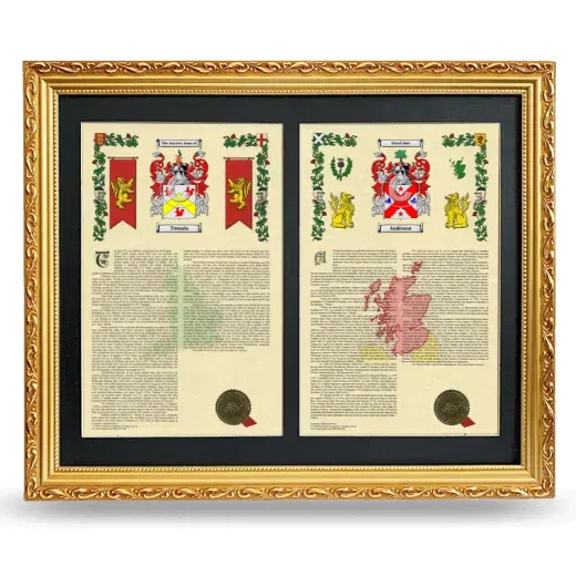 Double Armorial History Framed - Gold