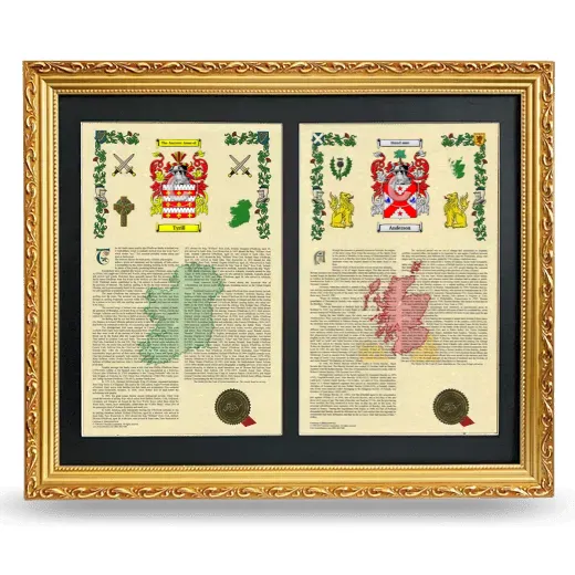 Double Armorial History Framed - Gold