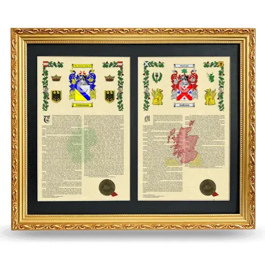 Double Armorial History Framed - Gold