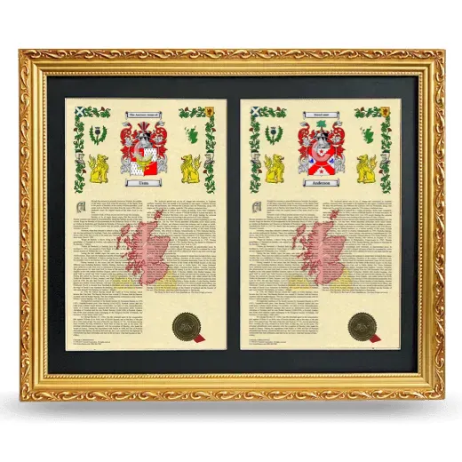 Double Armorial History Framed - Gold
