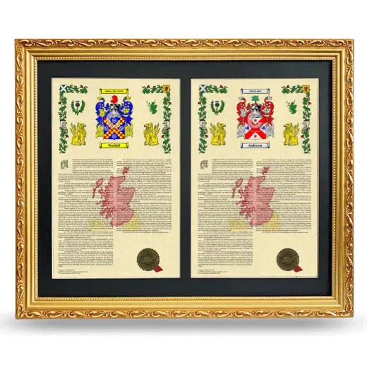 Double Armorial History Framed - Gold