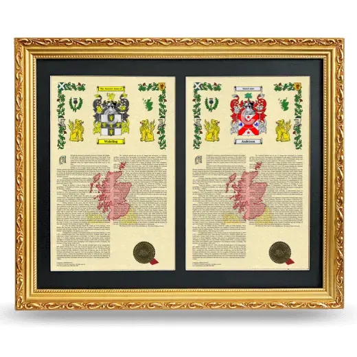 Double Armorial History Framed - Gold