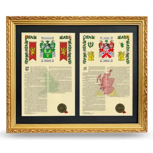 Double Armorial History Framed - Gold