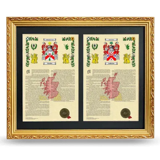 Double Armorial History Framed - Gold