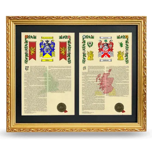 Double Armorial History Framed - Gold