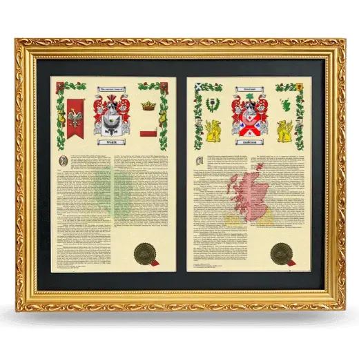 Double Armorial History Framed - Gold