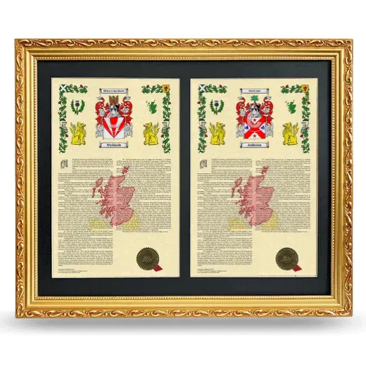 Double Armorial History Framed - Gold