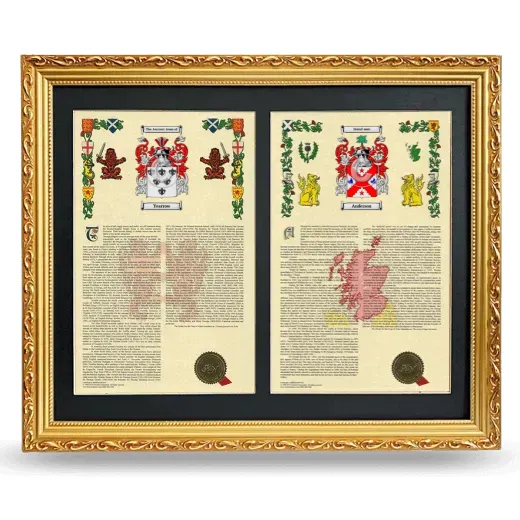 Double Armorial History Framed - Gold