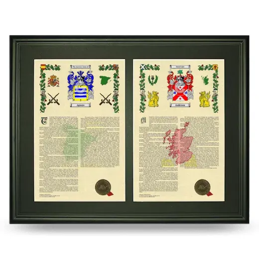 Double Armorial History Framed-Black