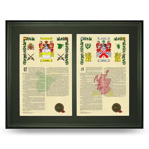 Double Armorial History Framed-Black