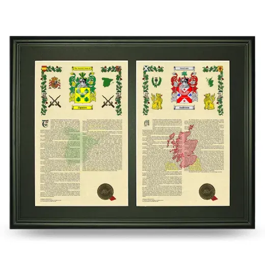 Double Armorial History Framed-Black