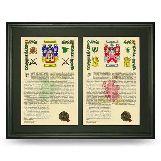 Double Armorial History Framed-Black