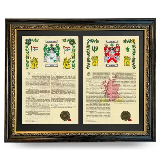 Double Armorial History Framed - Heirloom
