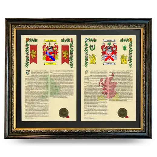 Double Armorial History Framed - Heirloom