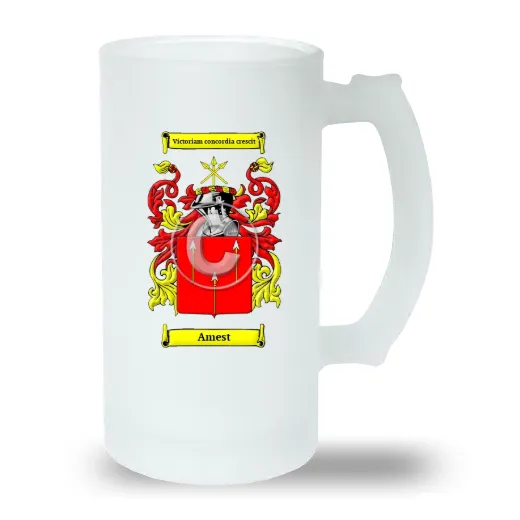 Amest Frosted Beer Stein
