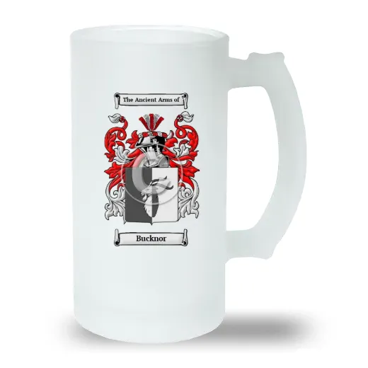 Bucknor Frosted Beer Stein