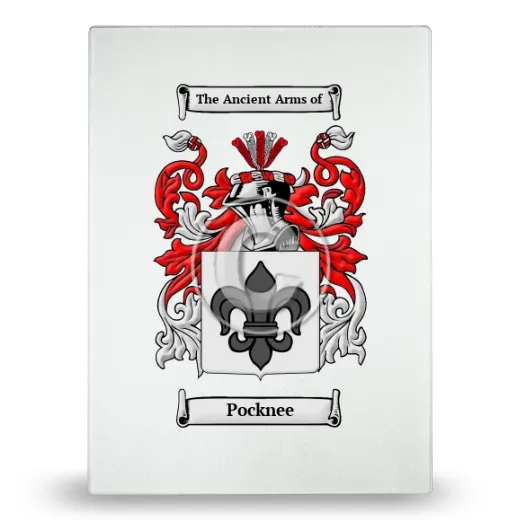 Pocknee Glass Cutting Board