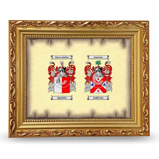 Anniversary Framed - Gold