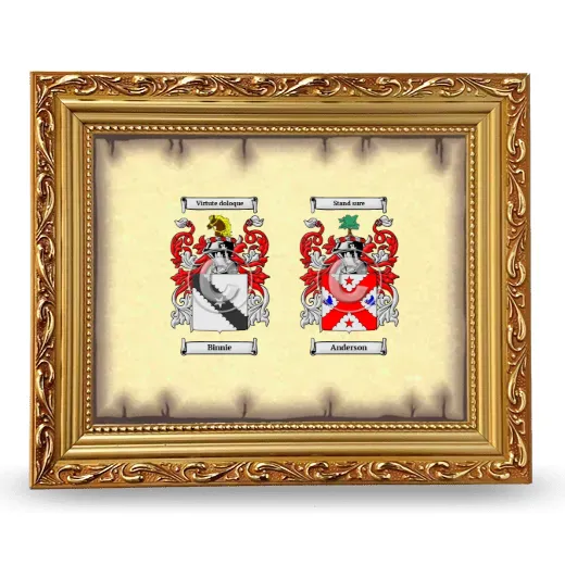 Anniversary Framed - Gold