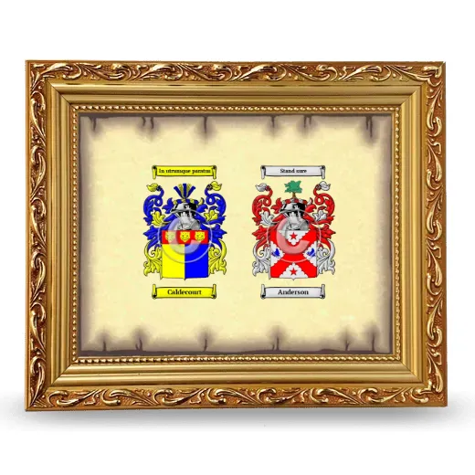 Anniversary Framed - Gold