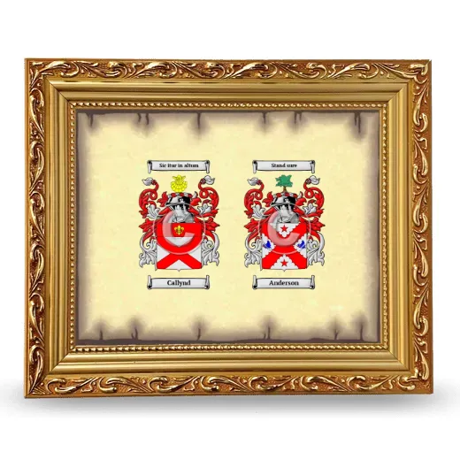 Anniversary Framed - Gold