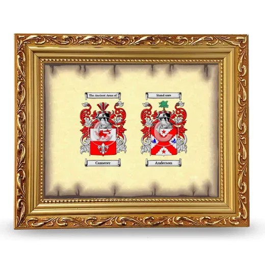 Anniversary Framed - Gold