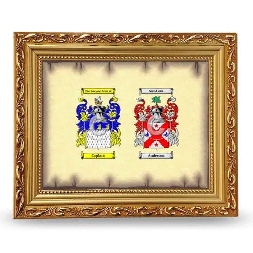 Anniversary Framed - Gold