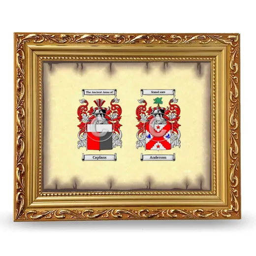 Anniversary Framed - Gold