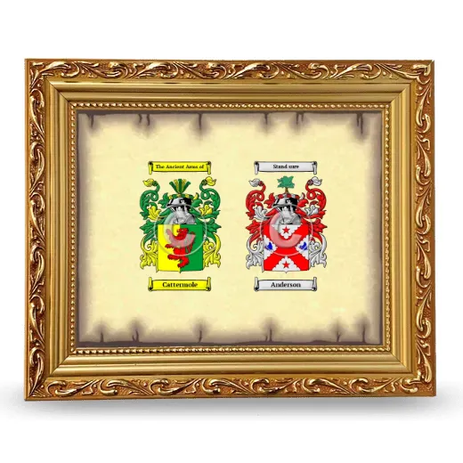 Anniversary Framed - Gold