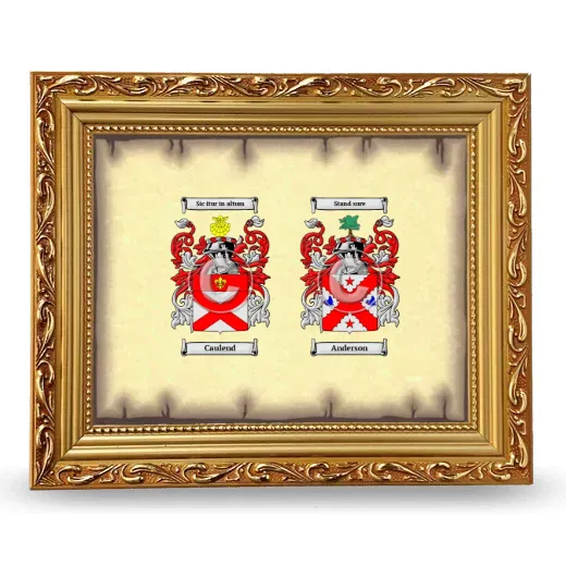 Anniversary Framed - Gold