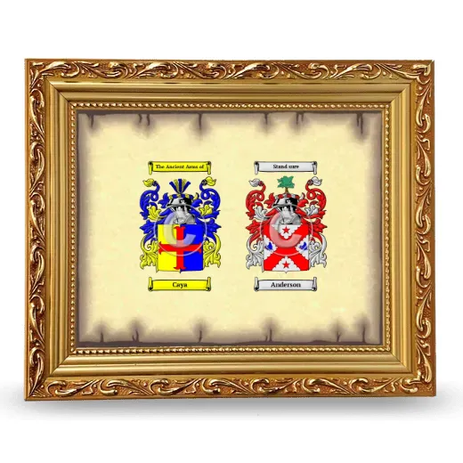 Anniversary Framed - Gold