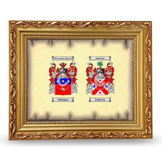 Anniversary Framed - Gold