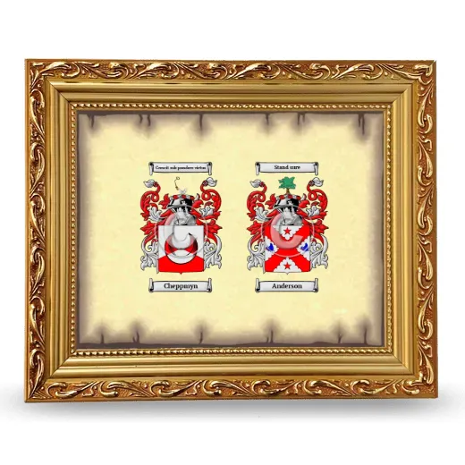 Anniversary Framed - Gold