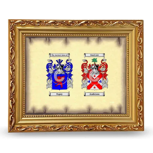 Anniversary Framed - Gold