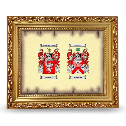 Anniversary Framed - Gold