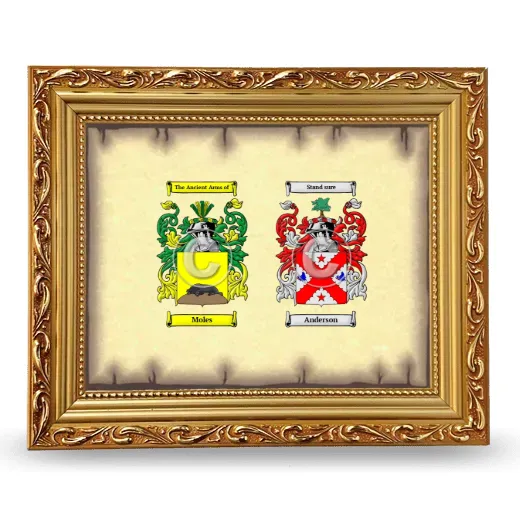 Anniversary Framed - Gold