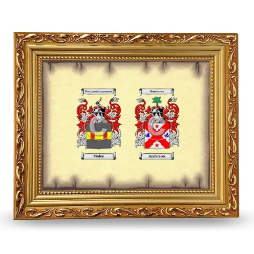 Anniversary Framed - Gold