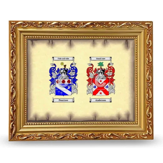 Anniversary Framed - Gold