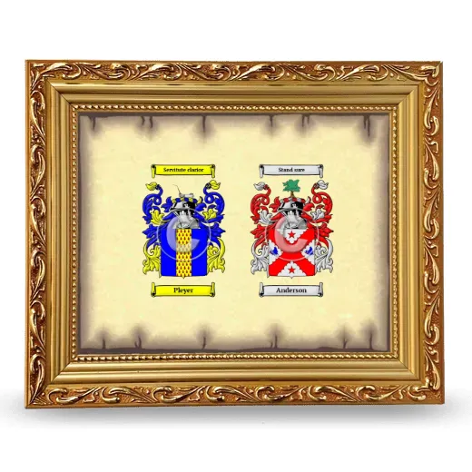 Anniversary Framed - Gold