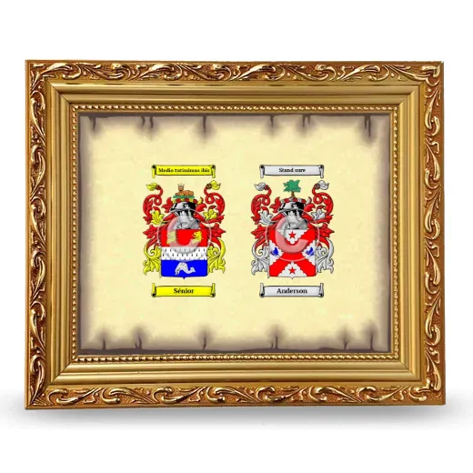 Anniversary Framed - Gold