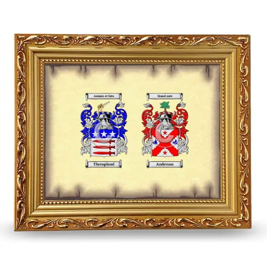 Anniversary Framed - Gold