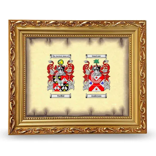 Anniversary Framed - Gold