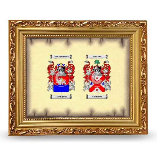 Anniversary Framed - Gold