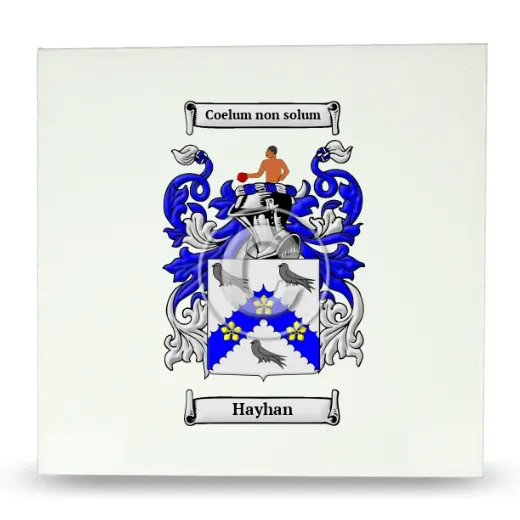 Hayhan Large Ceramic Tile with Coat of Arms