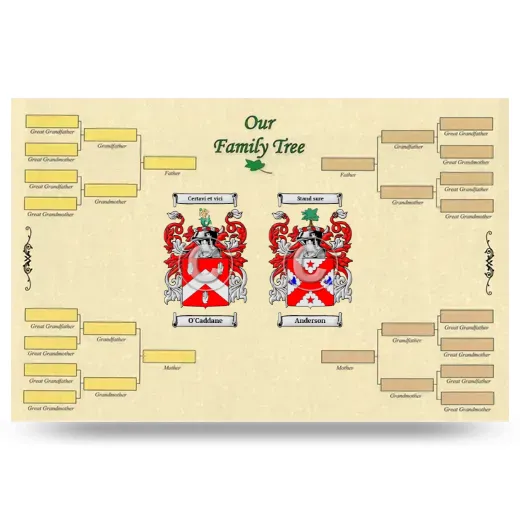 Record Your Own Family Tree