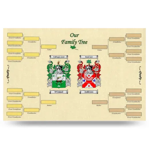 Record Your Own Family Tree