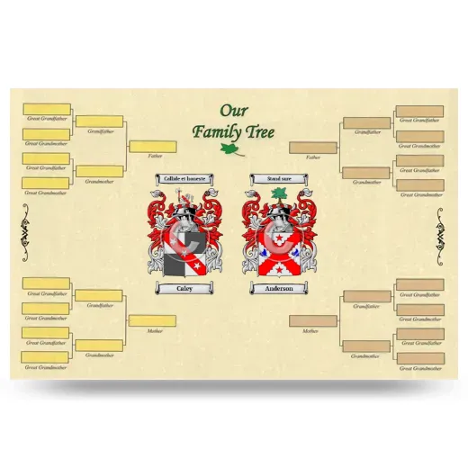 Record Your Own Family Tree